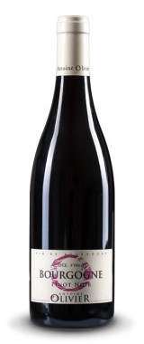 Bourgogne Pinot Noir "Côté Rouge" Domaine Antoine Olivier 2019