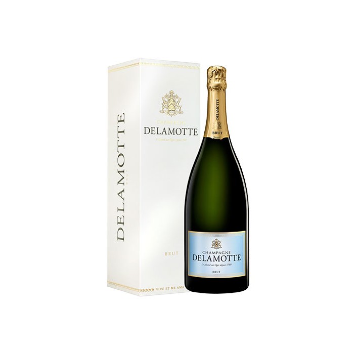 Magnum Champagne Delamotte Brut en étui