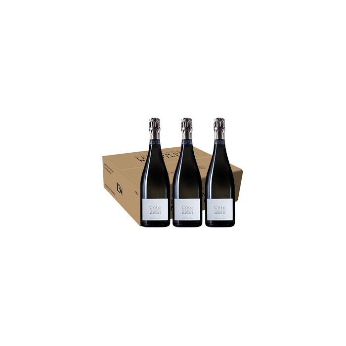 Carton de 3 bouteilles de Champagne Le Brun de Neuville Blanc de Blancs  Côte Blanche